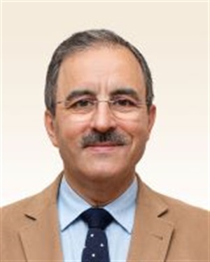 José António Moreira